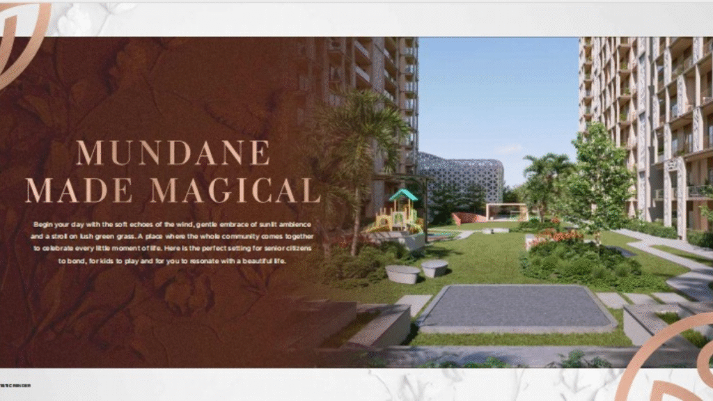 Eldecco La Vida Bella