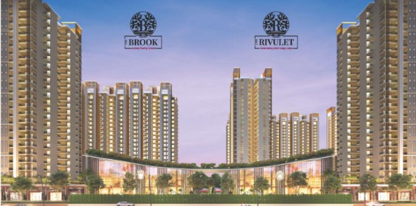 Fusion Brook & Rivulet